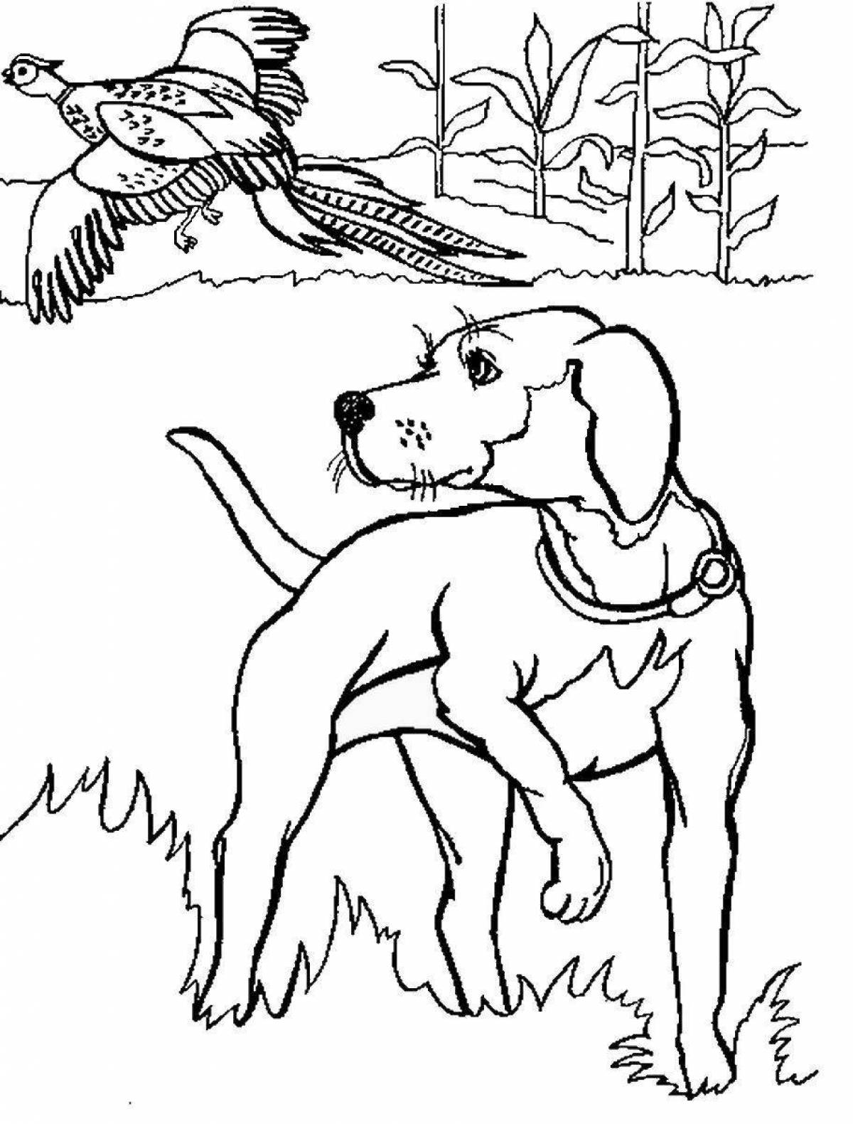 Цепкая раскраска охотник с собакой