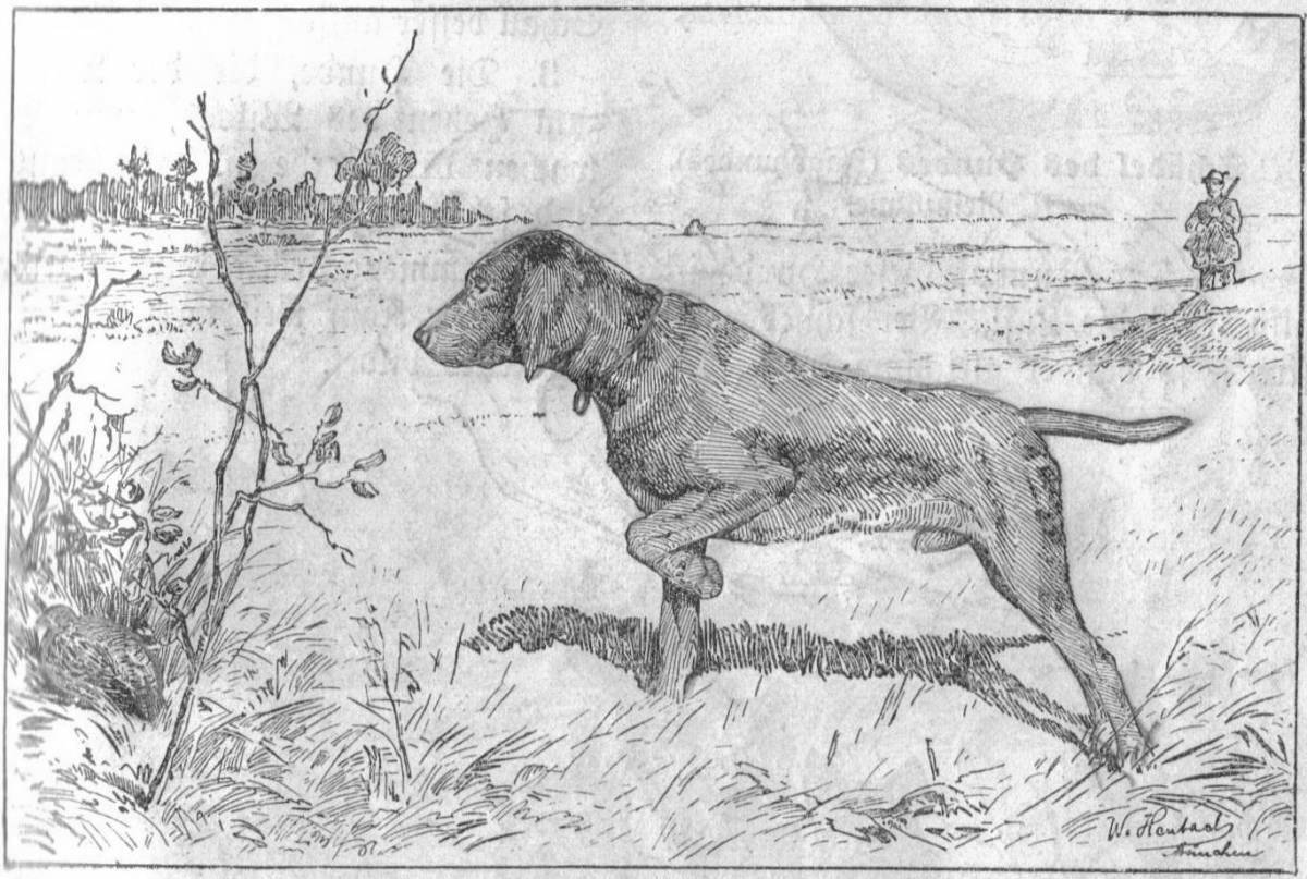 Смелая раскраска охотник с собакой