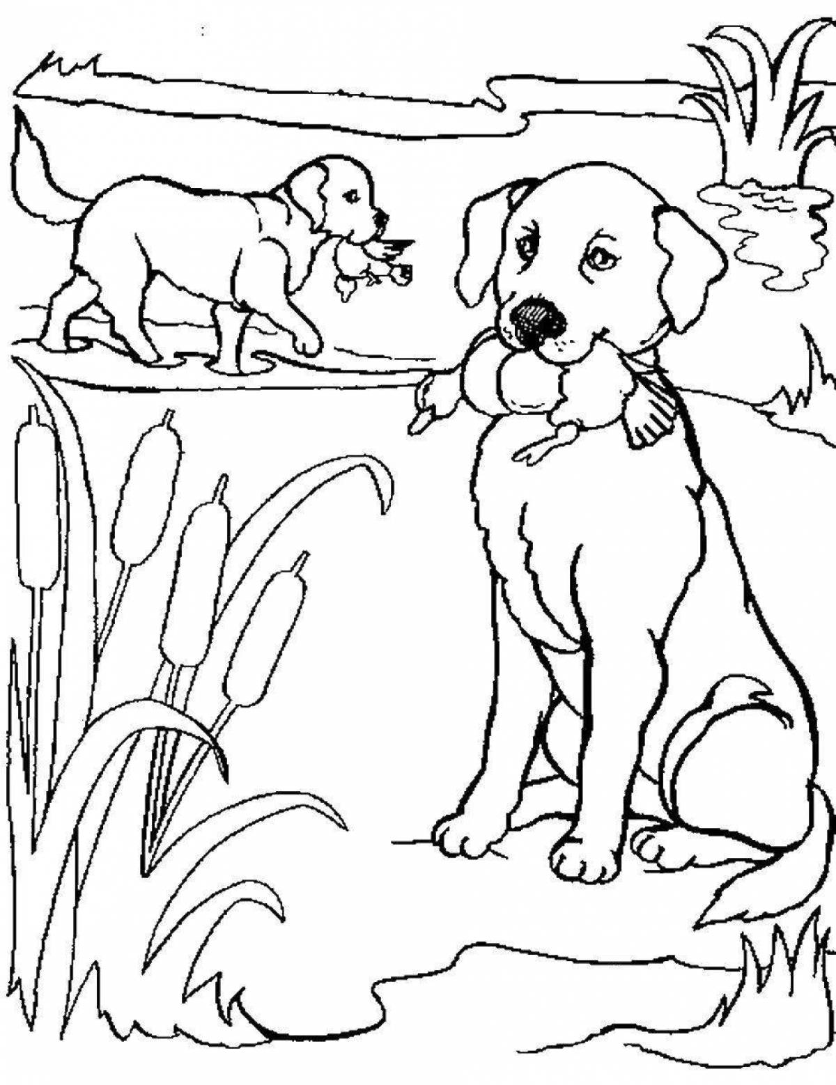 Неумолимая раскраска охотник с собакой
