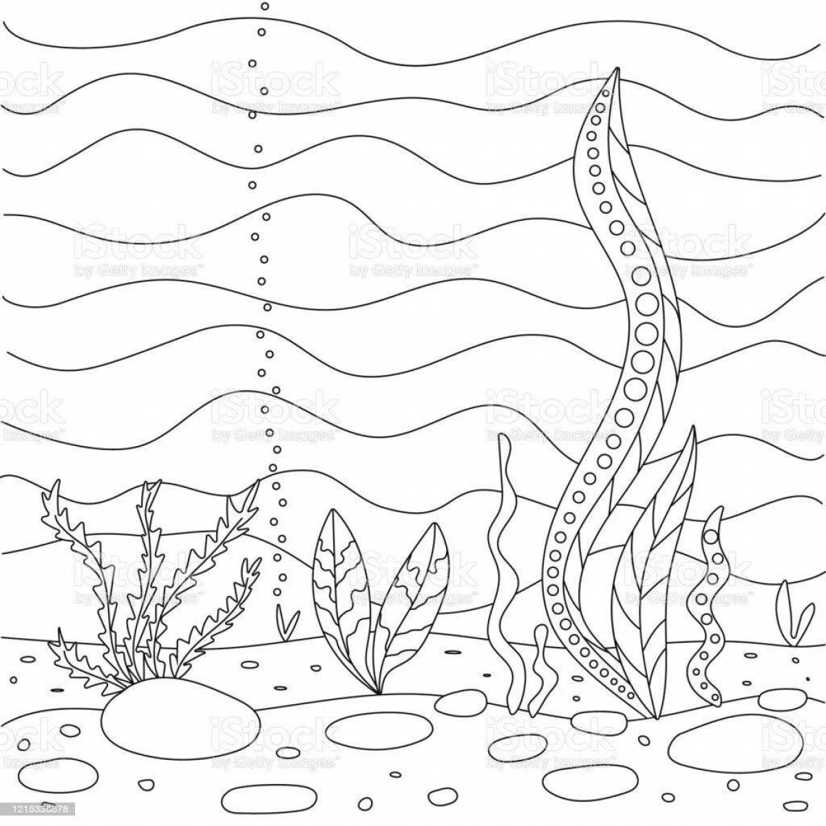 Раскраска веселая рыбка с водорослями