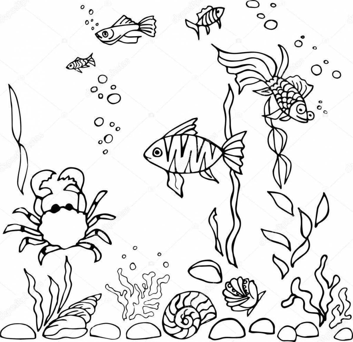 Coloring book dazzling fish with algae
