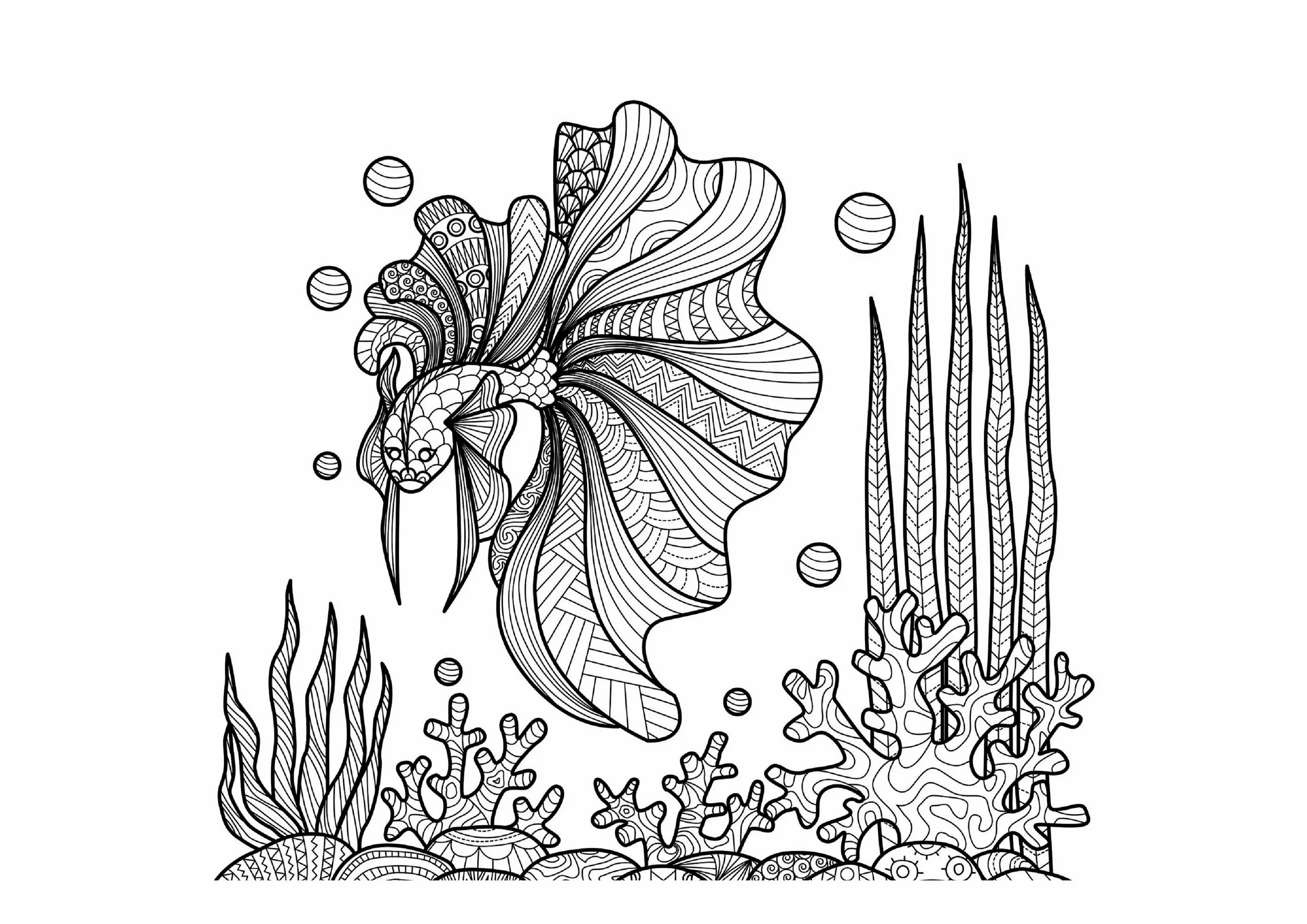 Раскраска милая рыбка с водорослями
