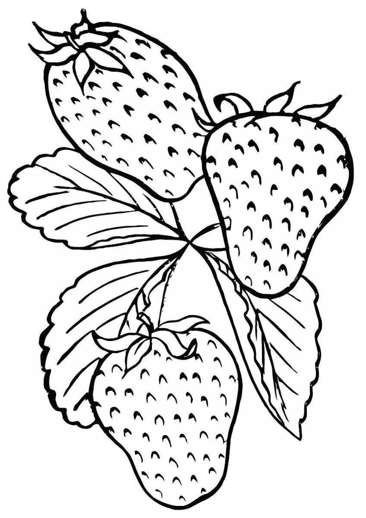 Fabulous strawberry coloring book for kids