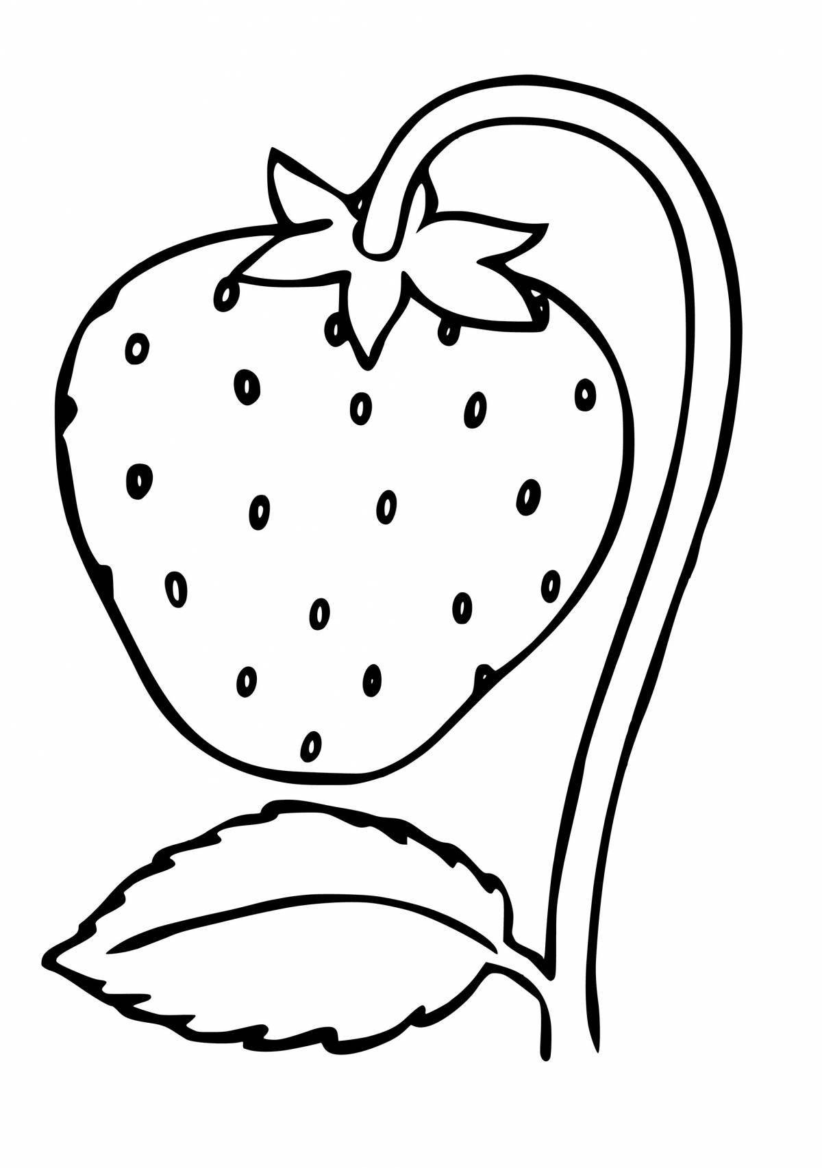 Fancy strawberry coloring book for kids