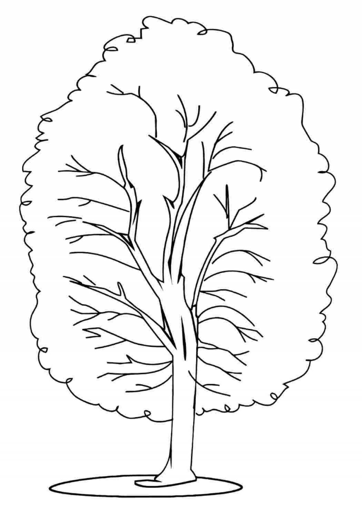 Adorable linden tree coloring page for beginners