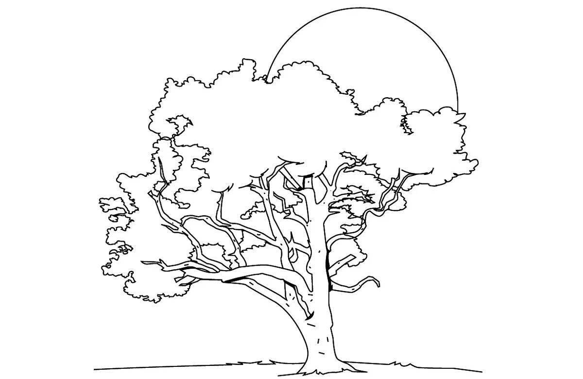 Shiny lime tree coloring book for kids