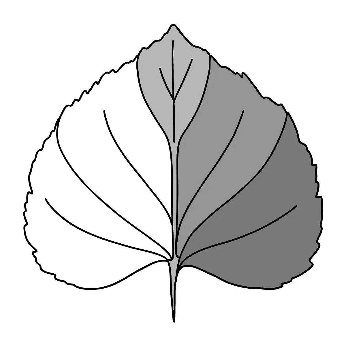 Luminous linden coloring book for schoolchildren