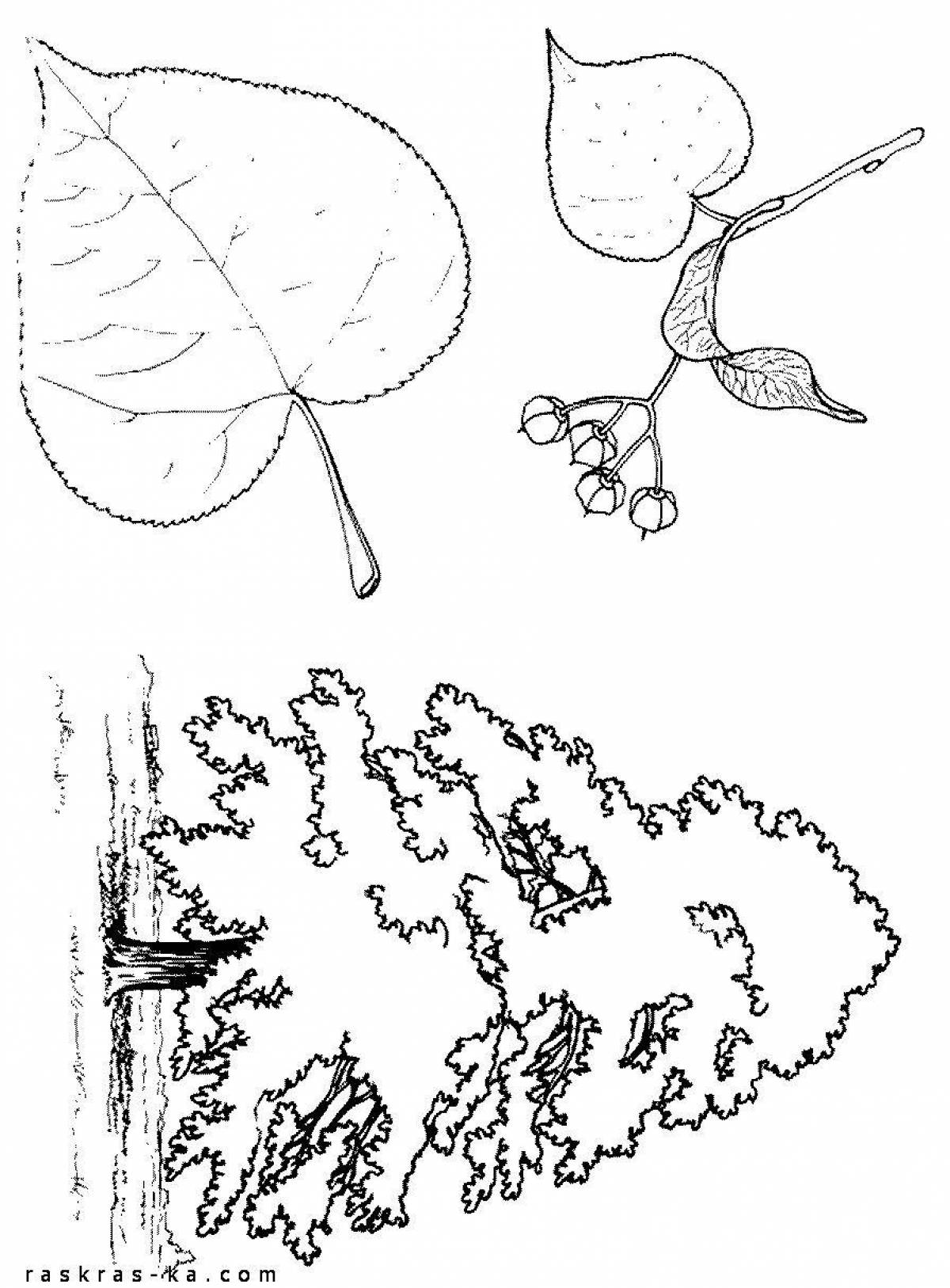 Fun coloring for kids