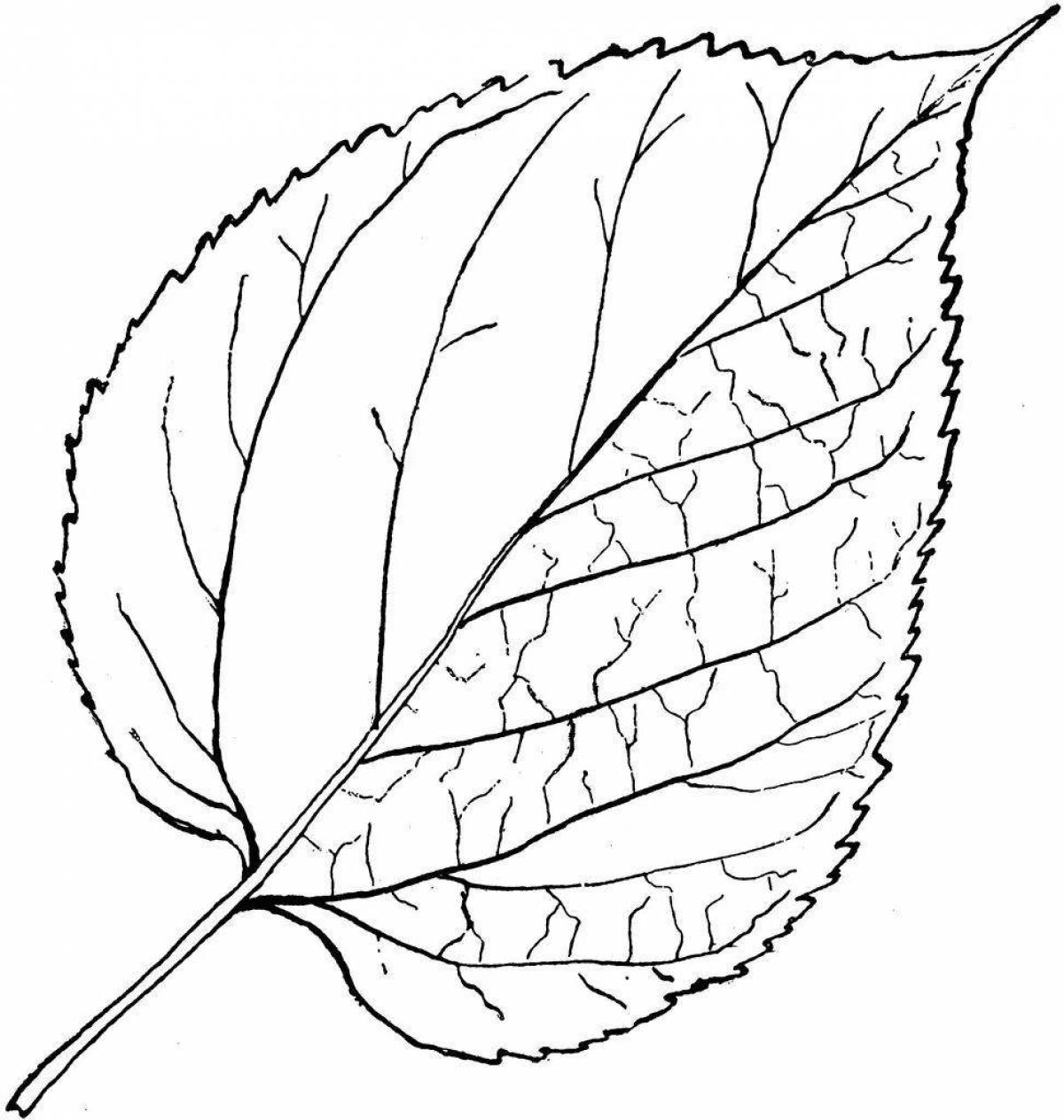 Bright linden coloring book for preschoolers