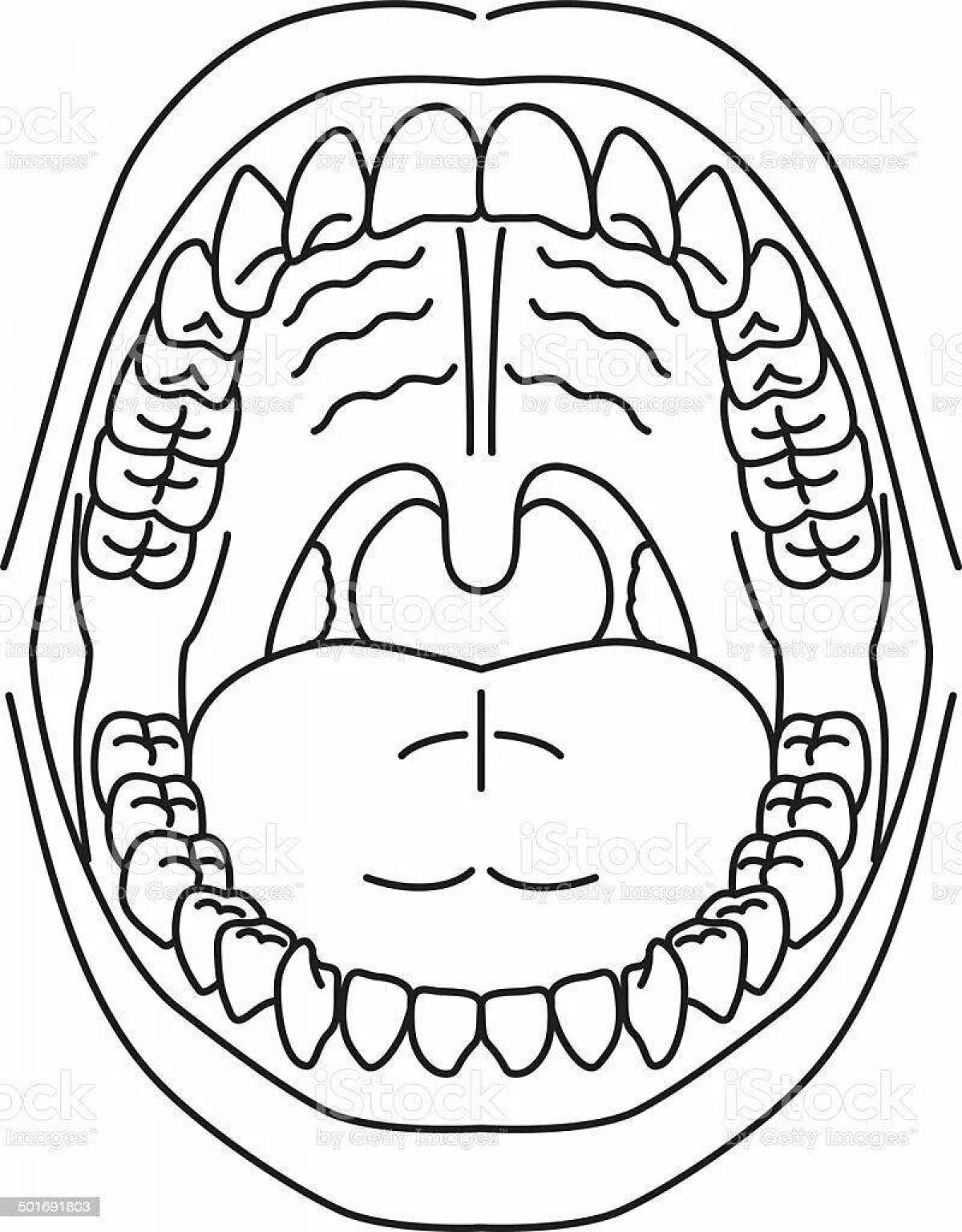 Зубы человека рисунок. Челюсть раскраска для детей. Открытая полость рот с зубами для раскрашивания. Ротовая полость человека черно белая.