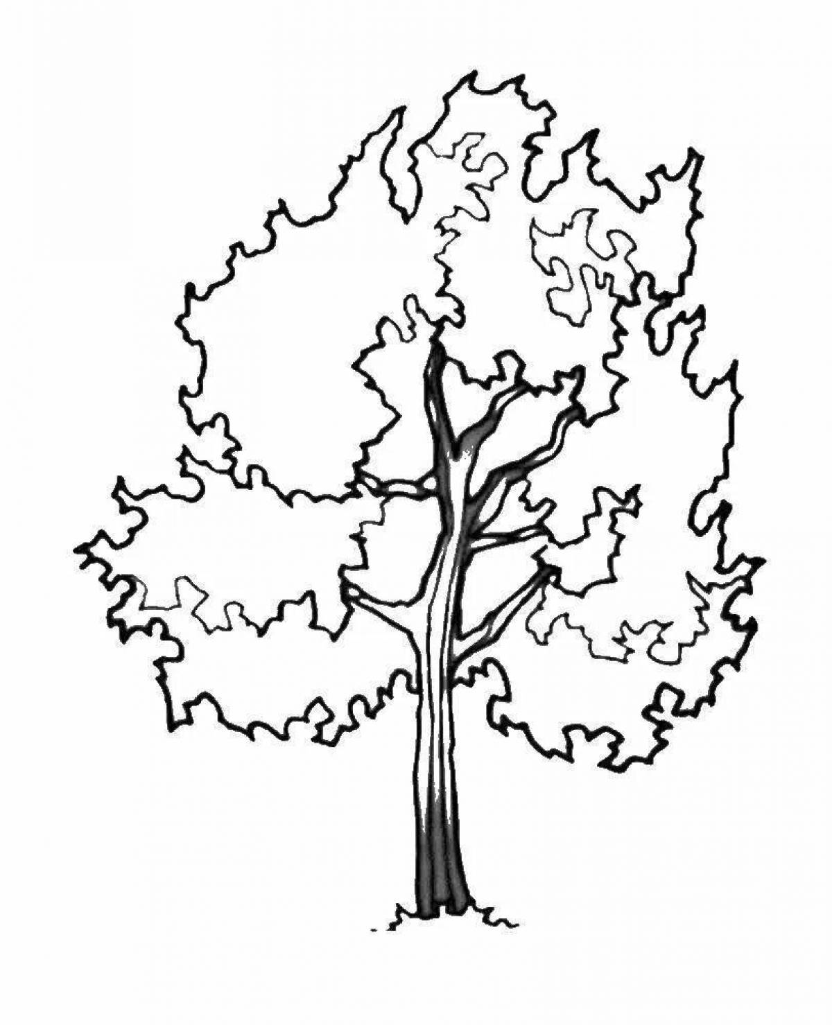 Раскраска дерево осина для детей