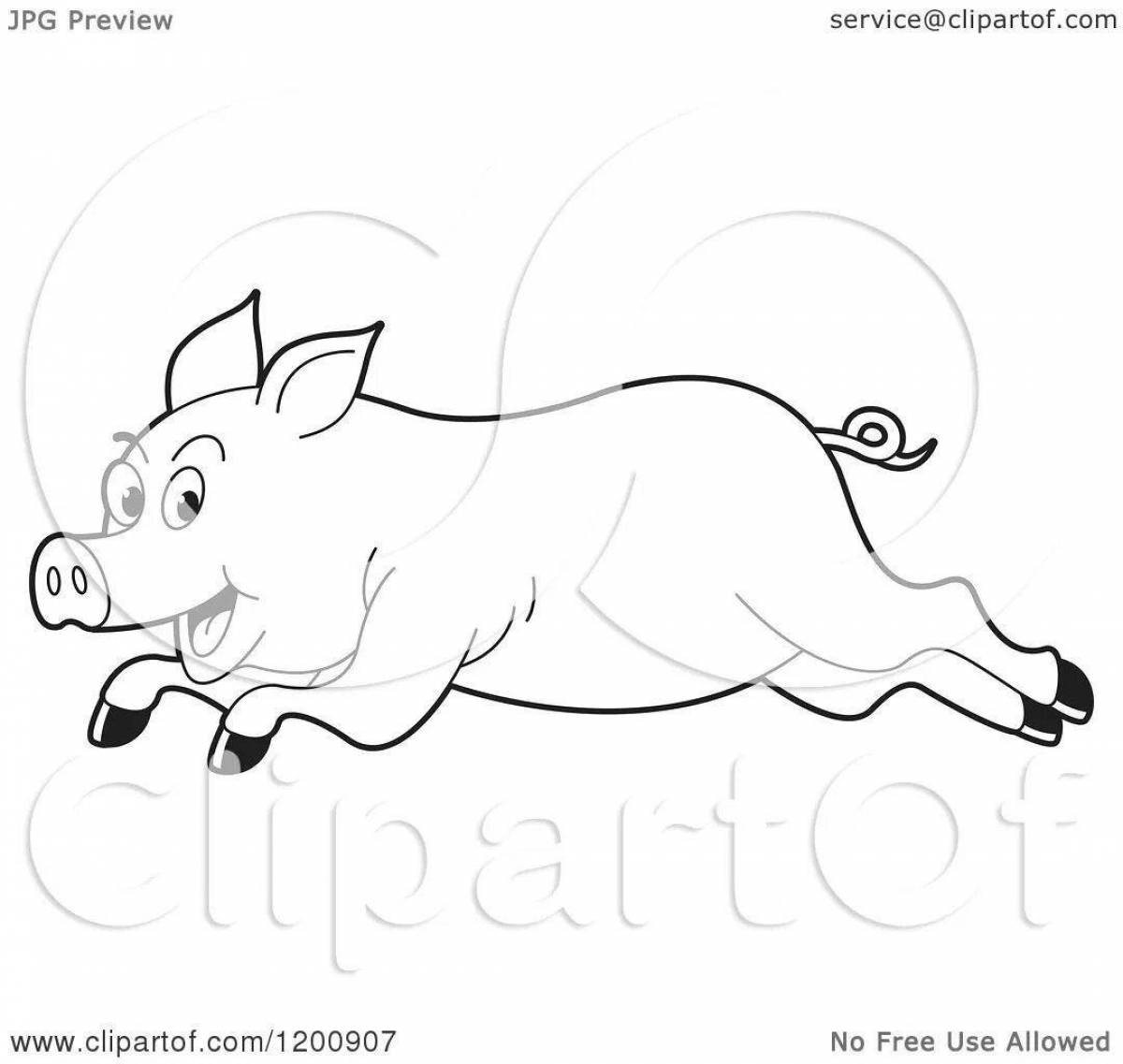 Свинья бежит рисунок