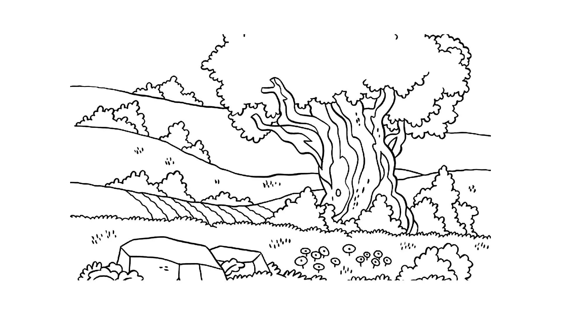 Раскраска Красота родного края #13