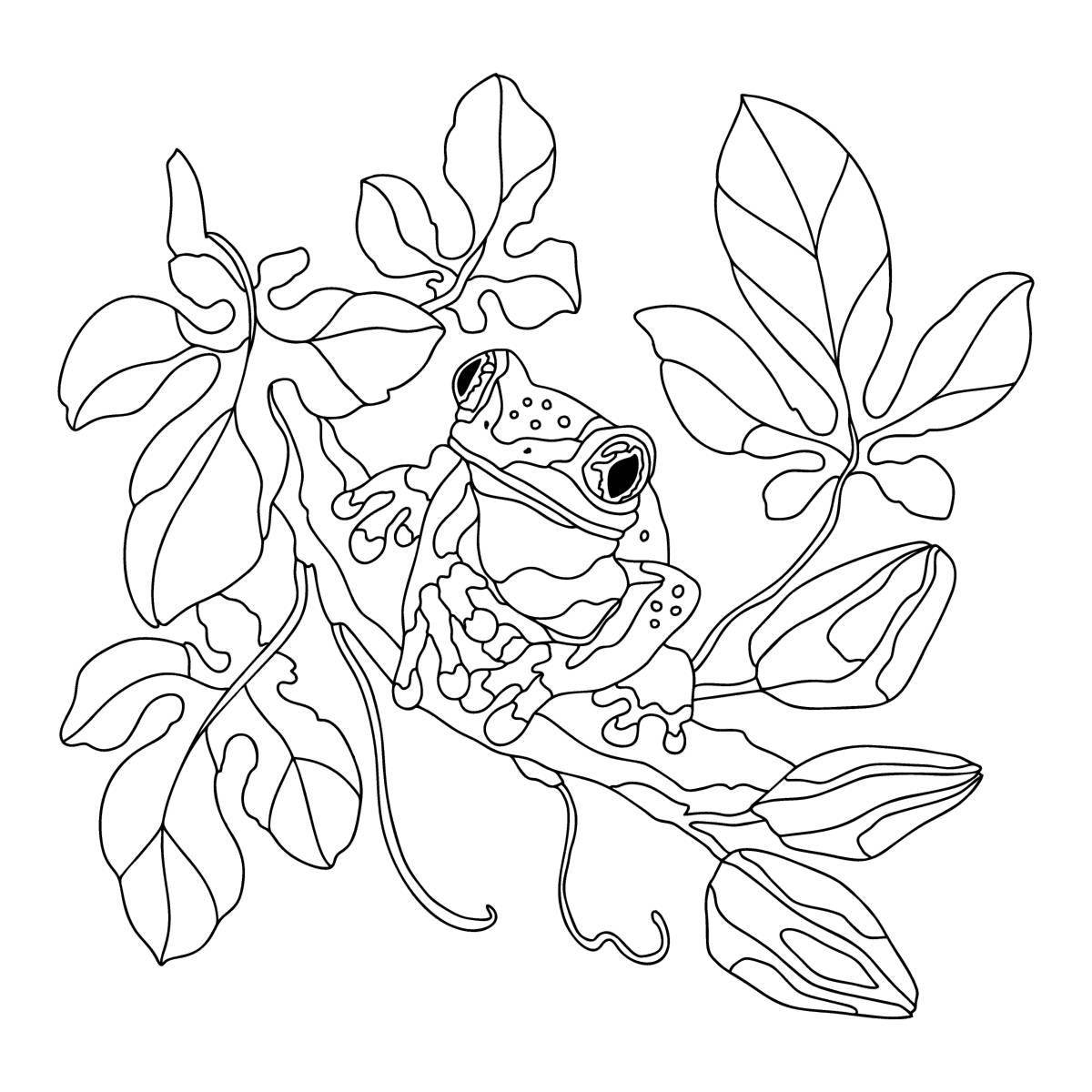 Буйная лягушка на водяной лилии