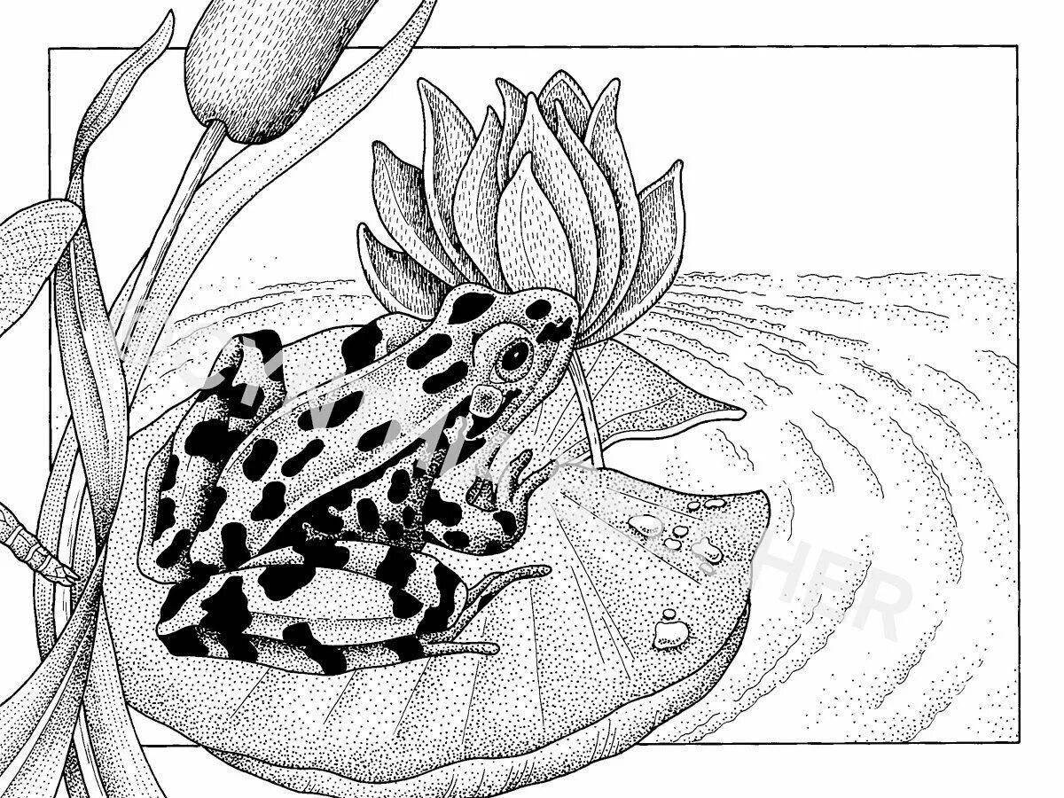 Блестящая лягушка на водяной лилии