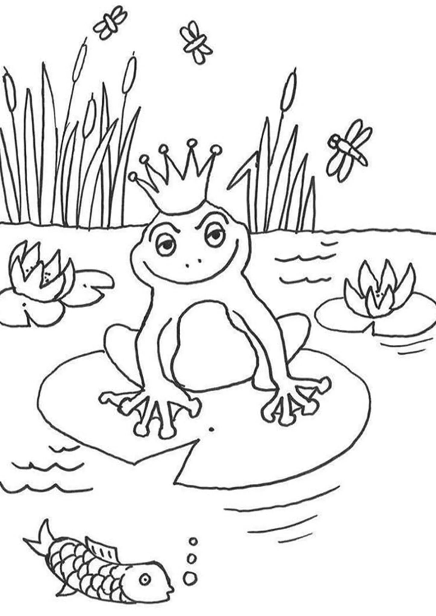 Возвышенная лягушка на водяной лилии