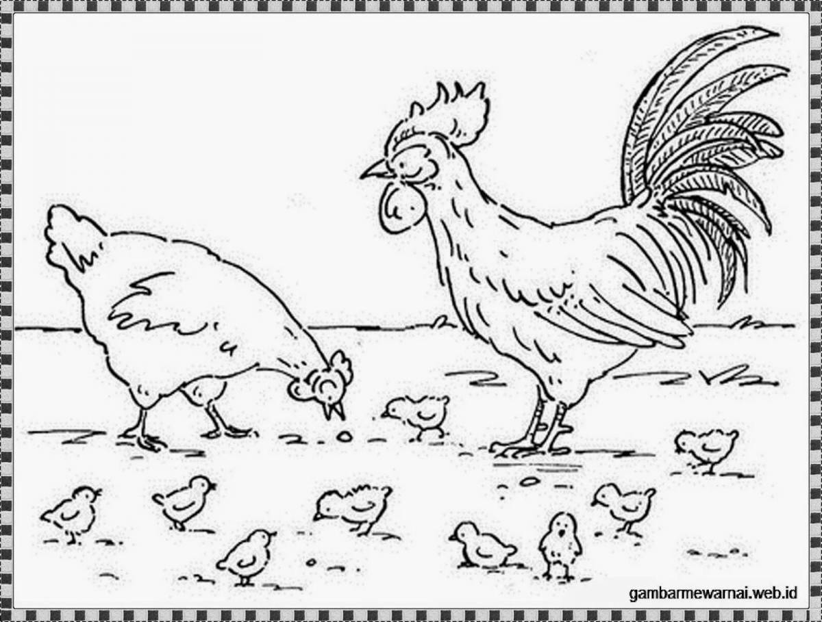 Radiant grains for chicken coloring page