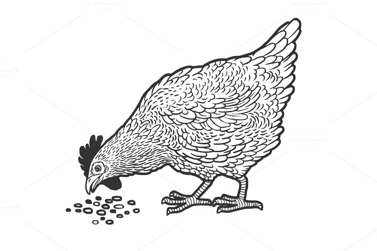 Chicken seeds #8