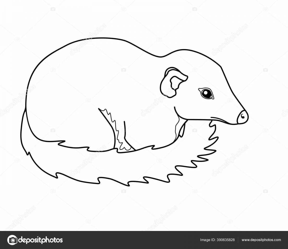 Playful shrew coloring for kids