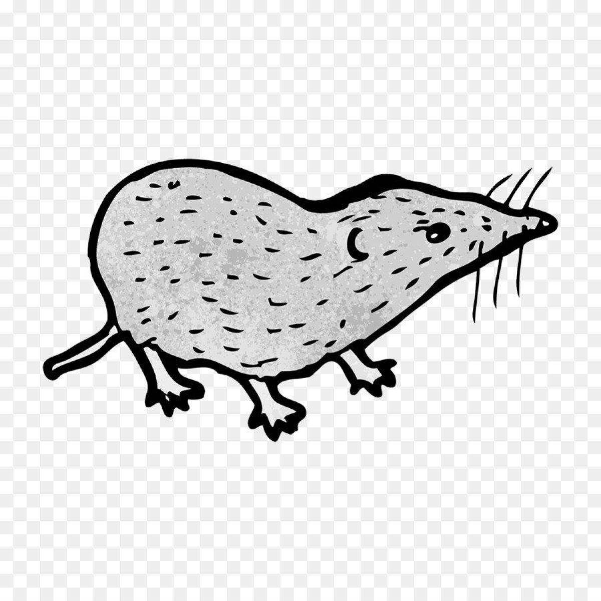 Fun coloring shrew for juniors