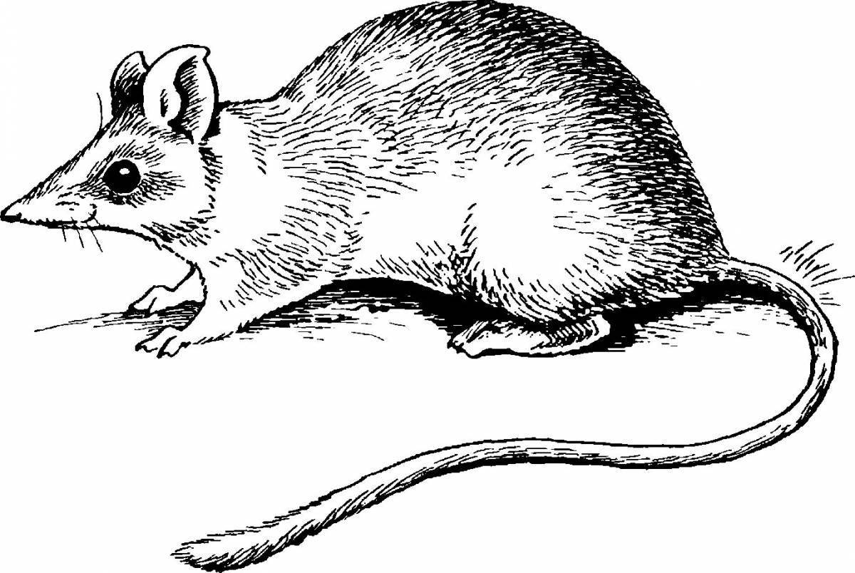 Delightful shrew coloring book for students