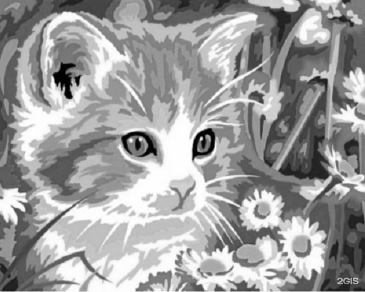 Kitty magic coloring by numbers