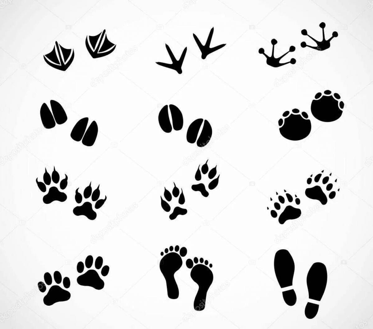 Cute footprints in the snow coloring book