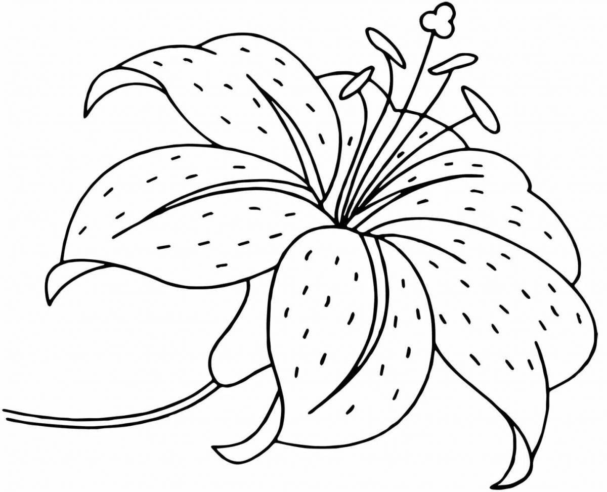 Colorful lily coloring book for kids