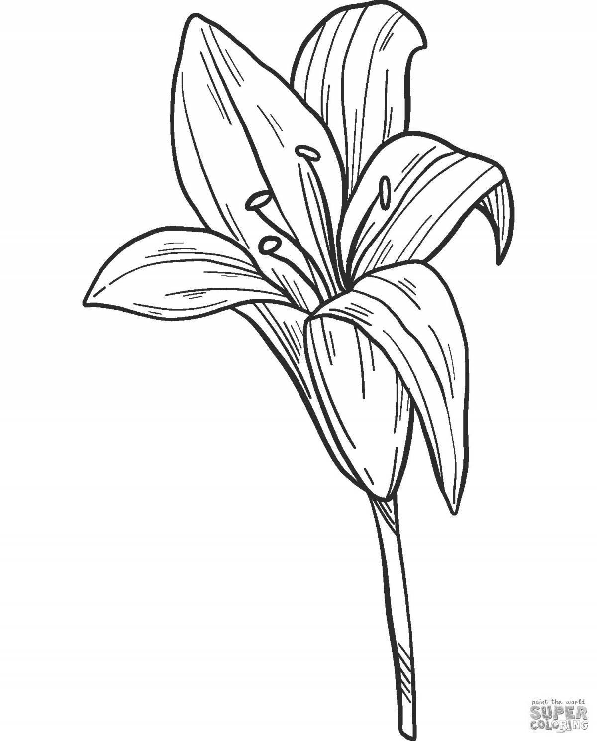 Joyful lily coloring pages for kids