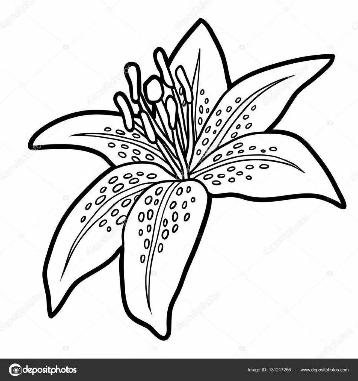 Bright lily coloring pages for kids