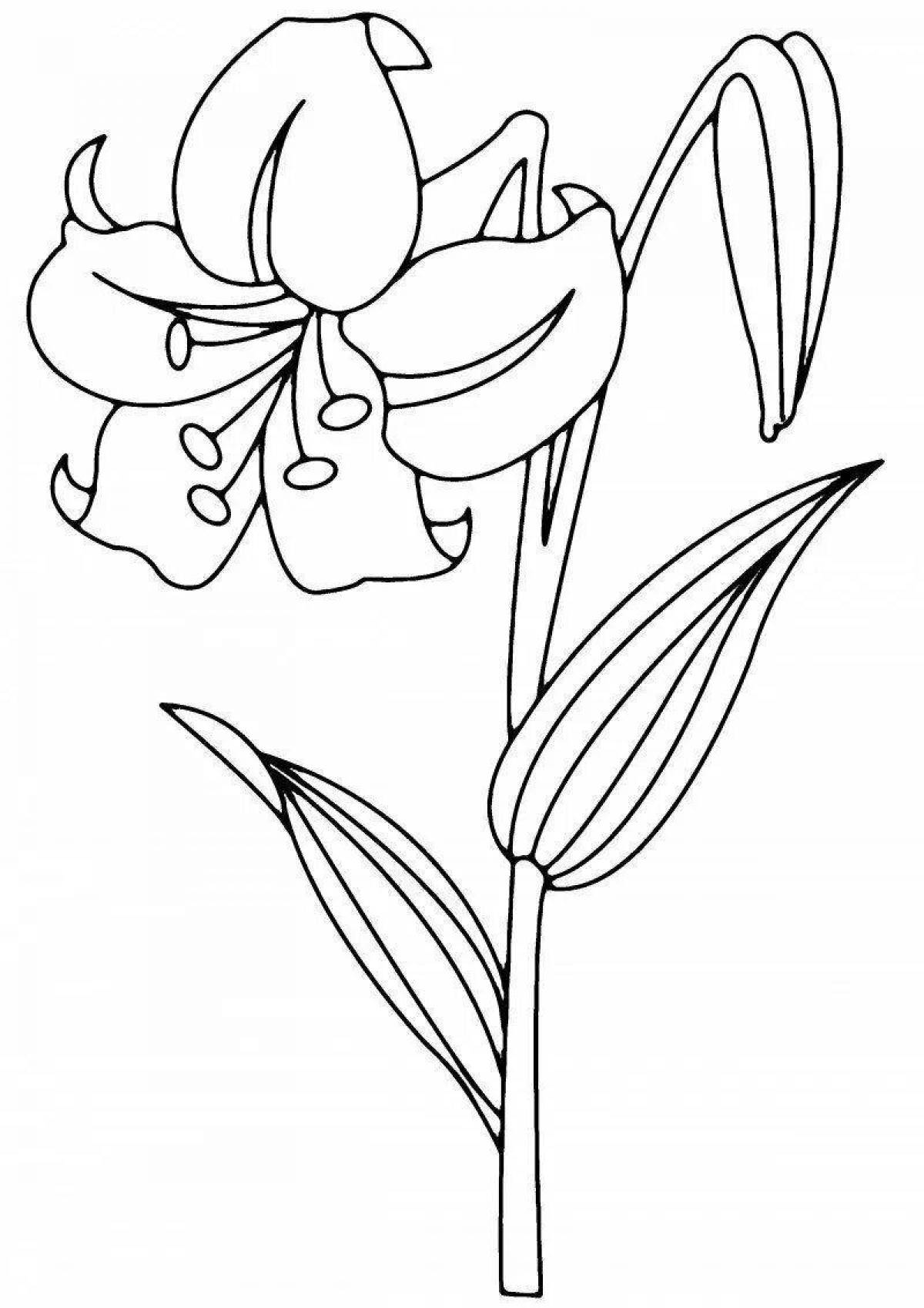 Playful lily coloring pages for kids