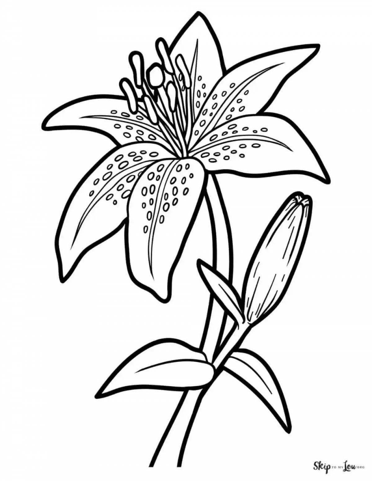 Adorable lily coloring pages for kids