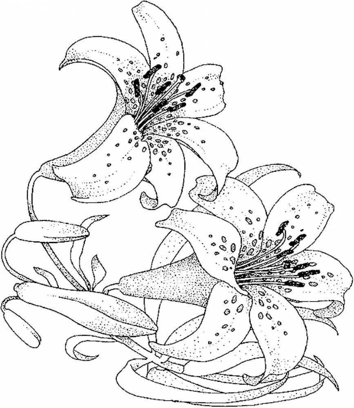 Fun lily coloring book for kids
