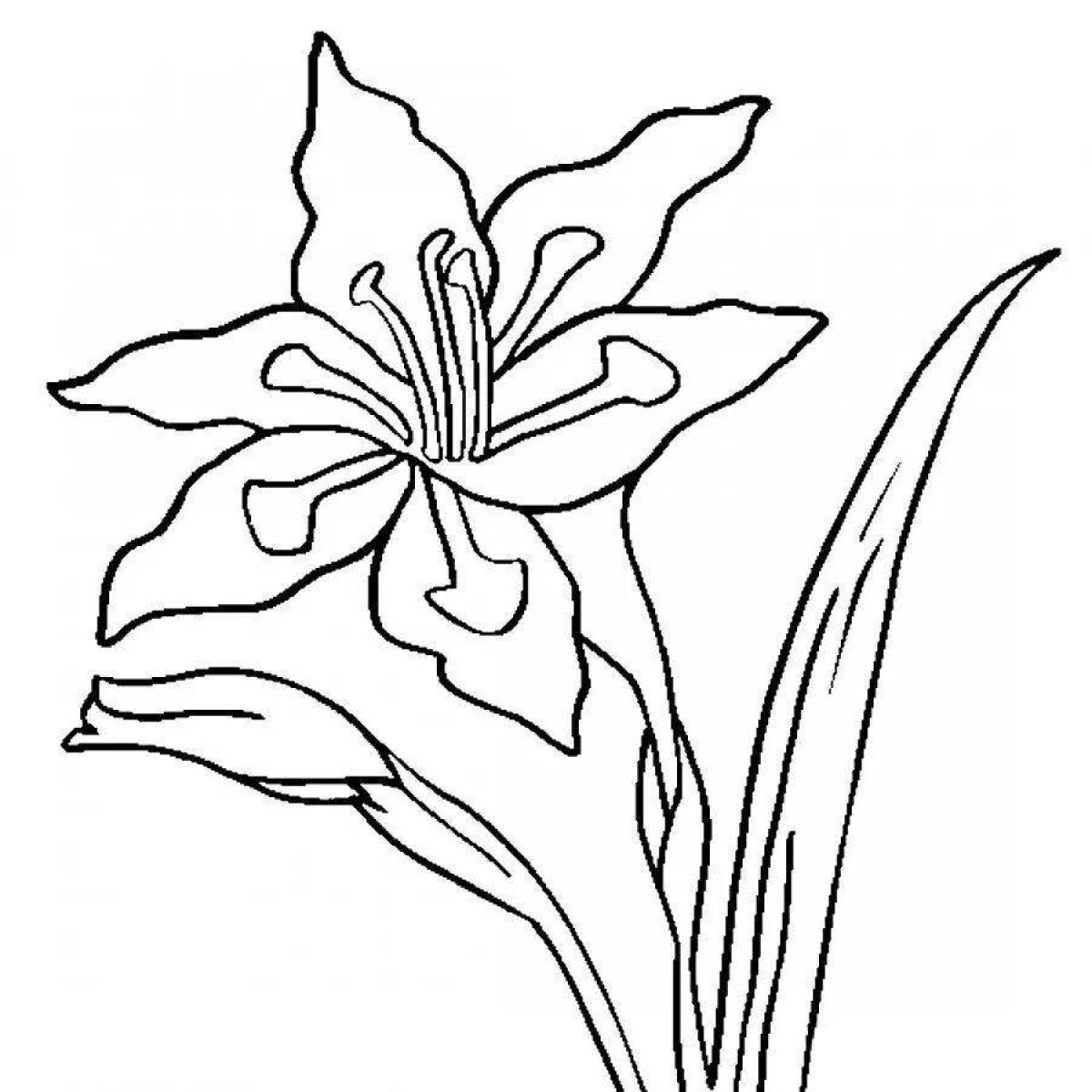 Dazzling lily coloring pages for kids