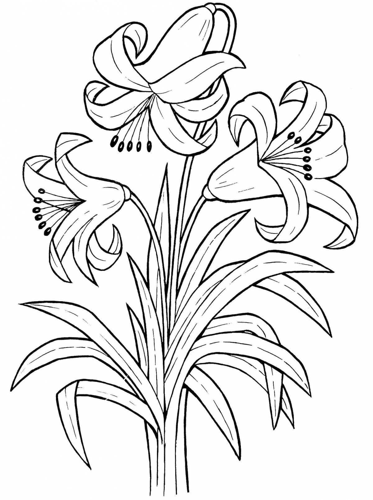 Exciting lily coloring book for kids