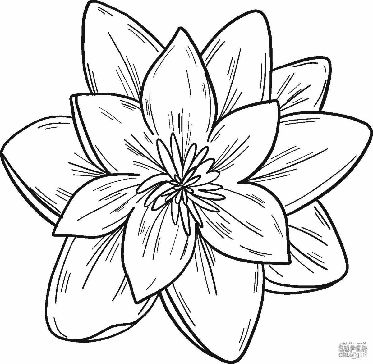 Photo Shimmering lily coloring pages for kids