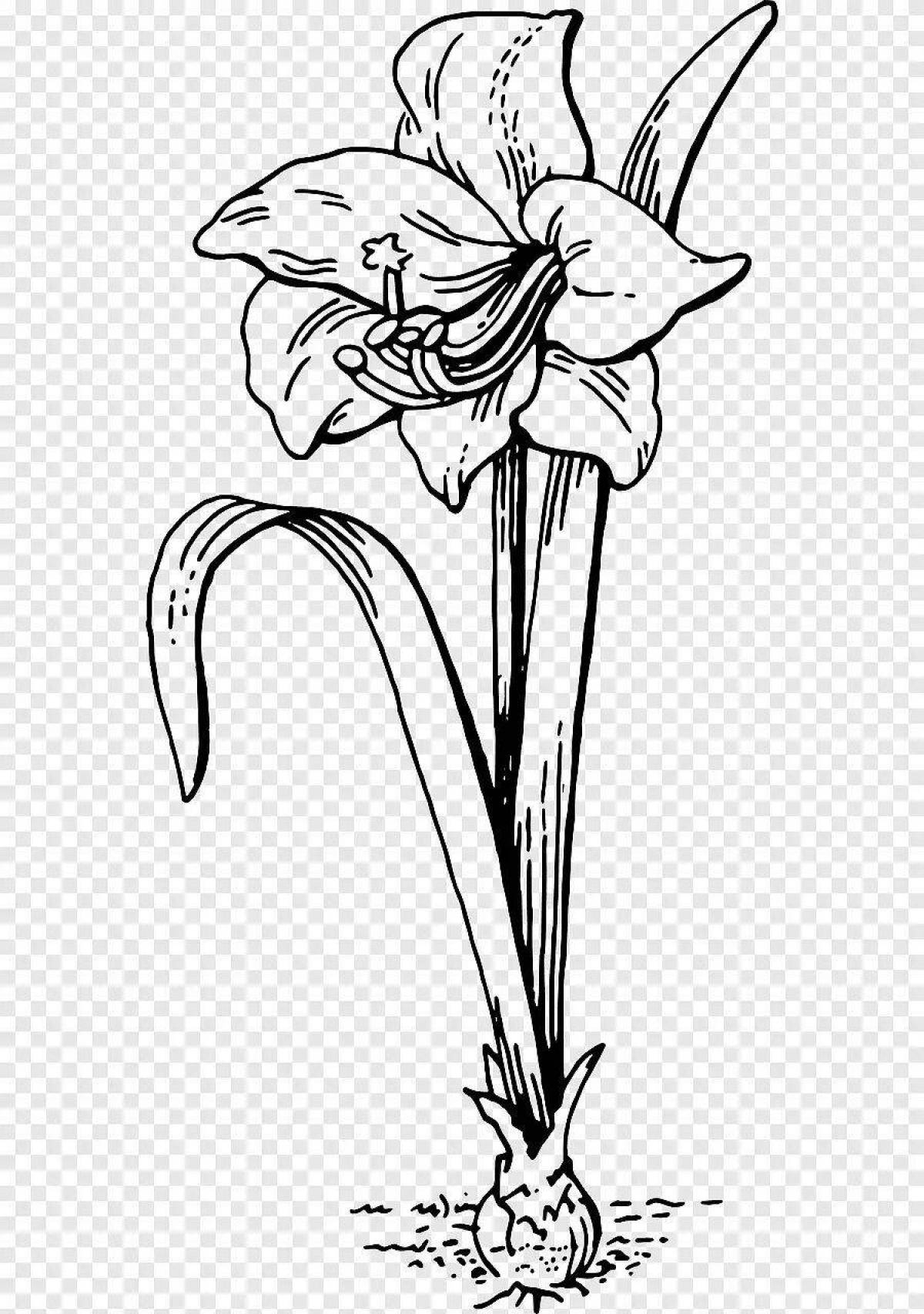 Photo Juicy lily coloring pages for kids