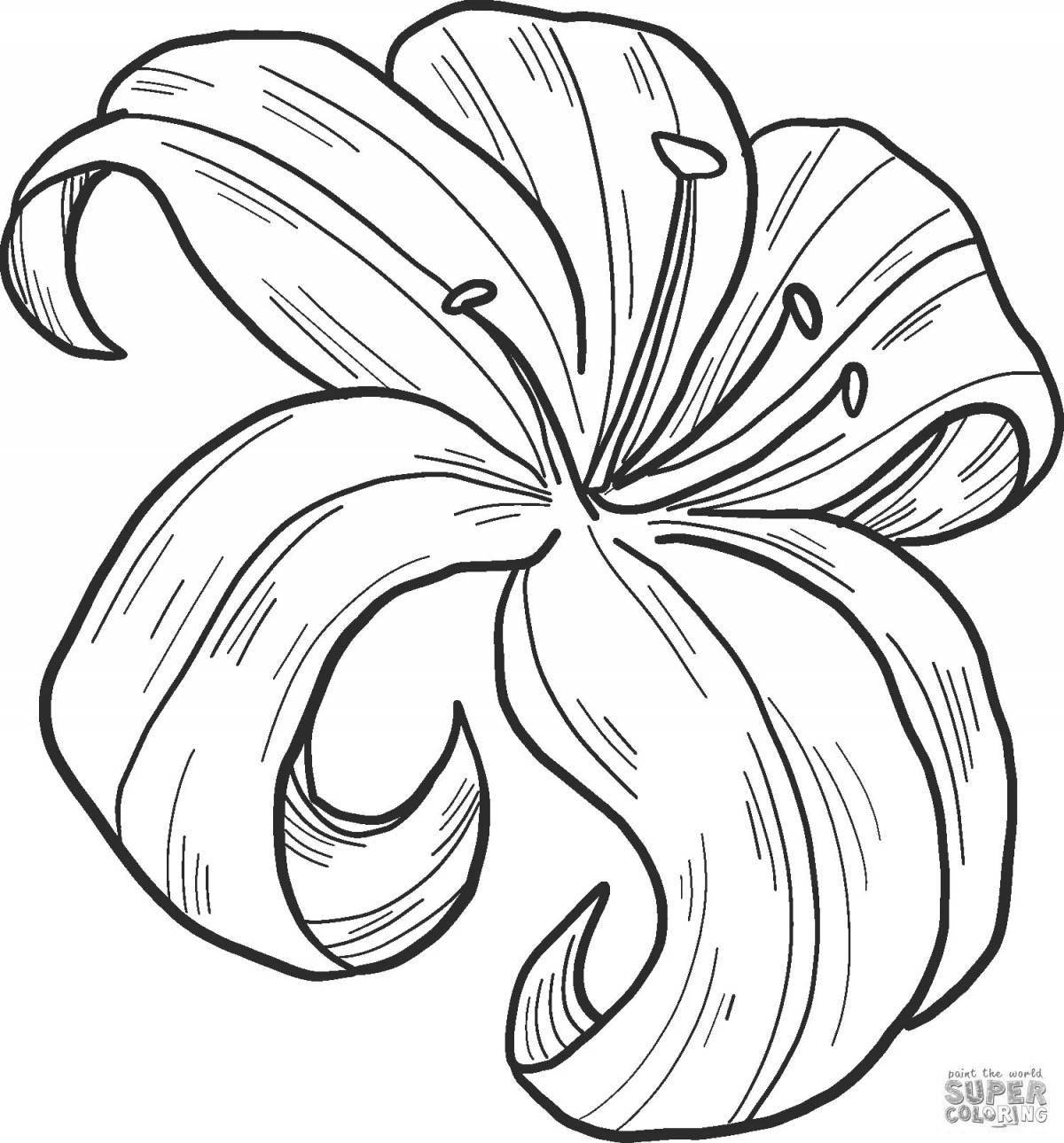 Fun lily coloring for kids
