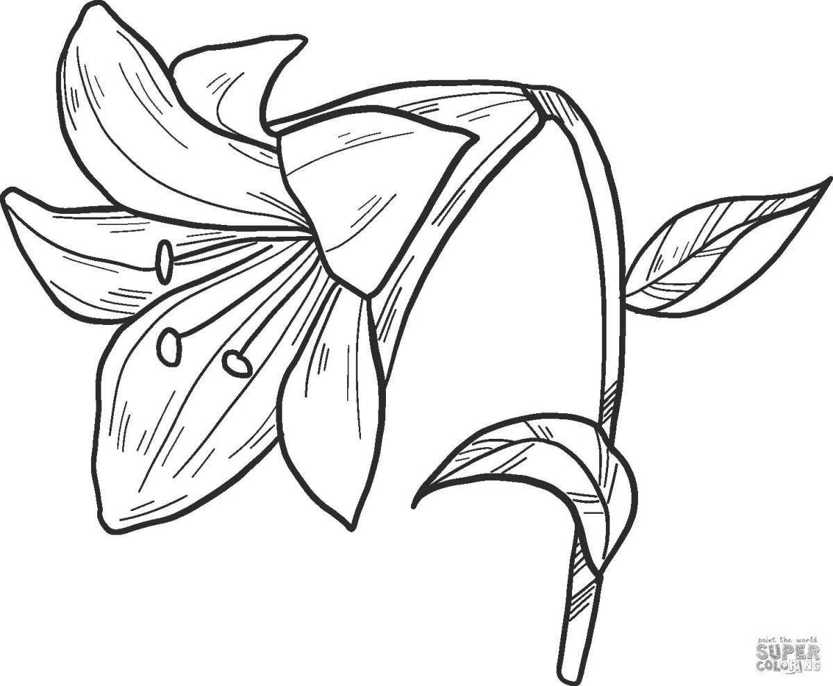 Living lily coloring pages for kids