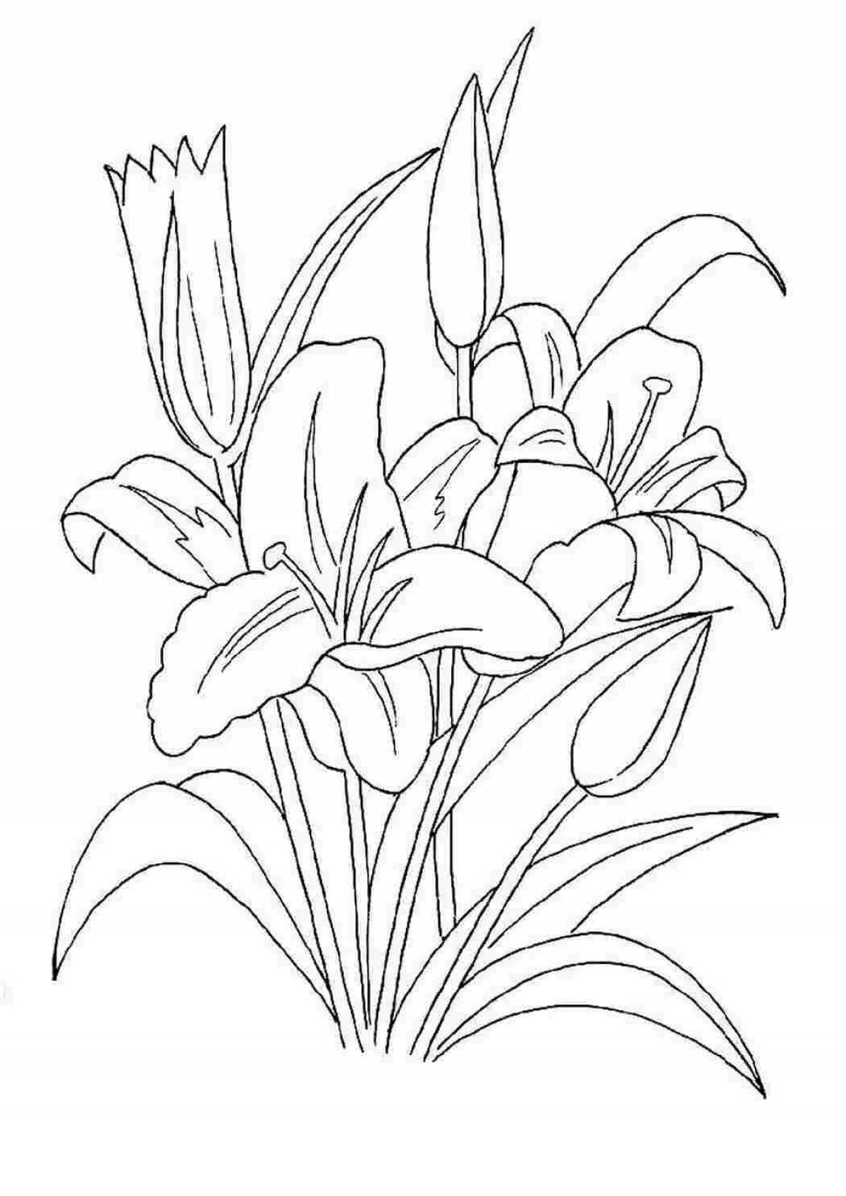 Ecstatic lily coloring pages for children