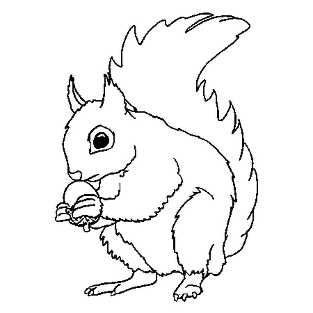 Coloring squirrel in the hollow