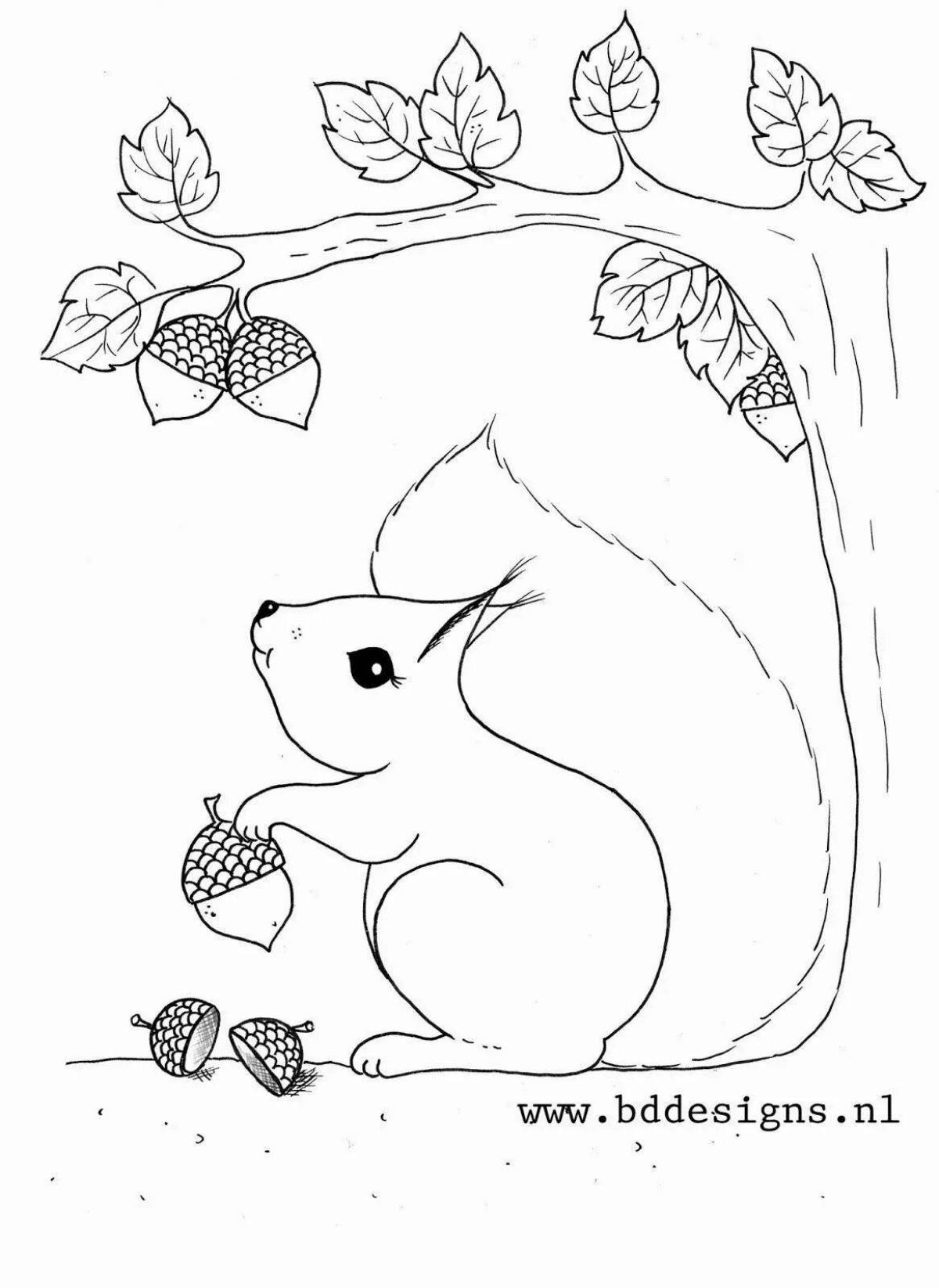 Animated squirrel coloring in the hollow