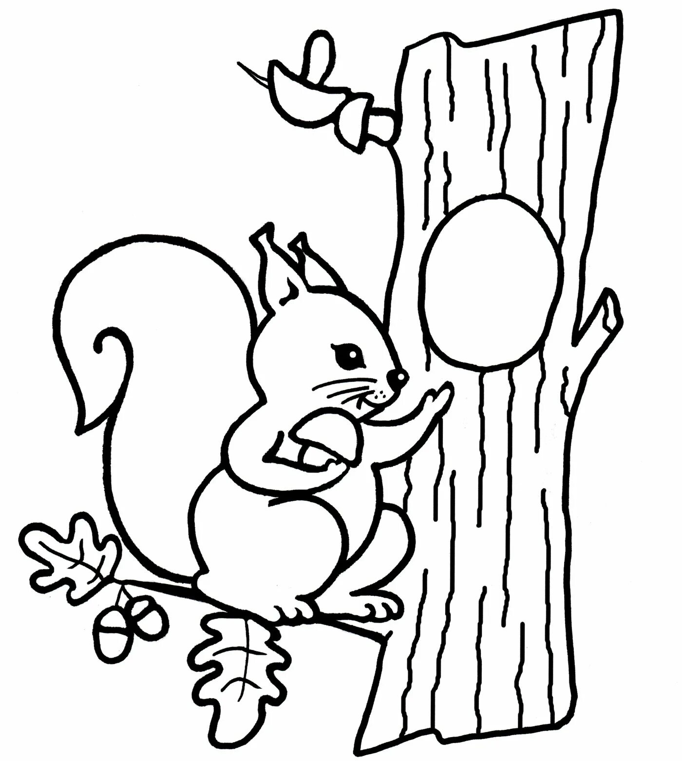 Squirrel in hollow #11