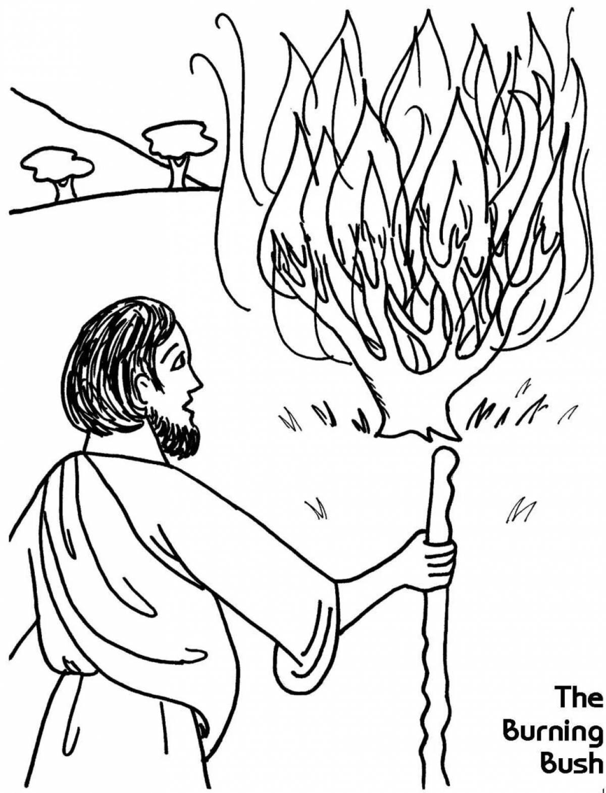 Drawing burning bush #5