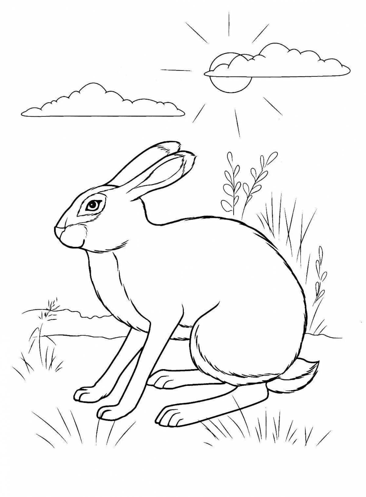 Delightful coloring rabbit in the forest