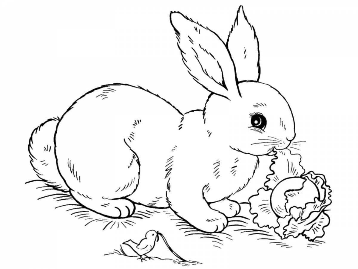 Fun coloring rabbit in the forest