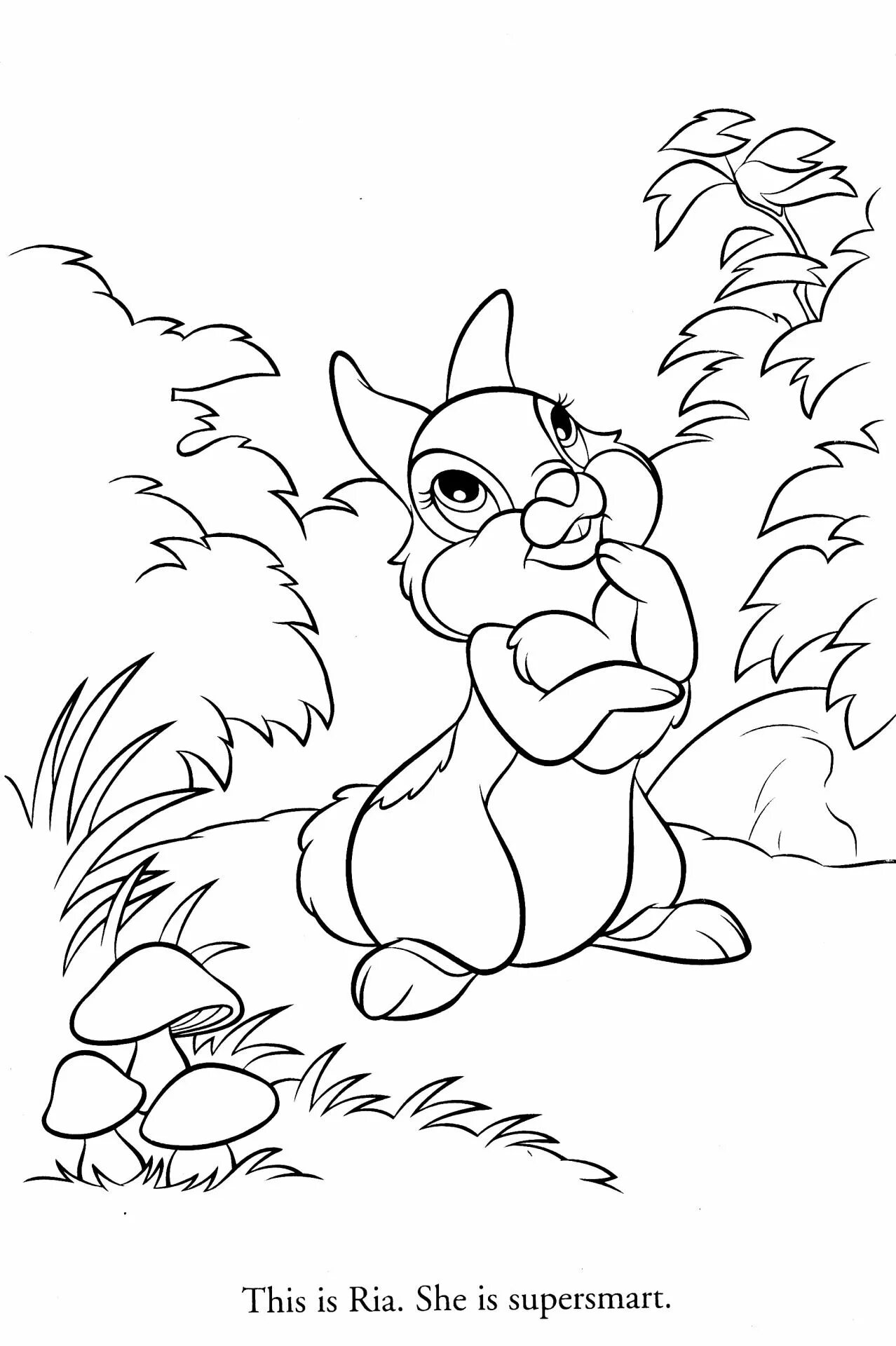 Большая раскраска кролик в лесу