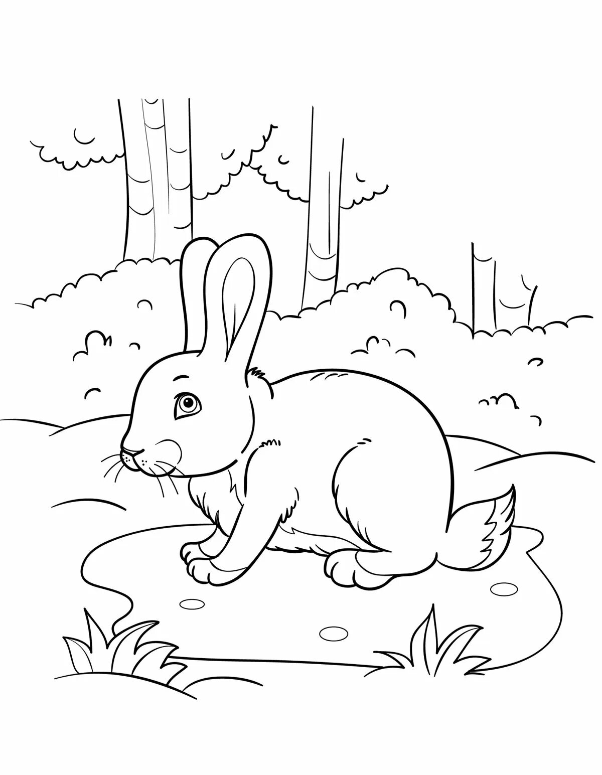 Bunny in the forest #7
