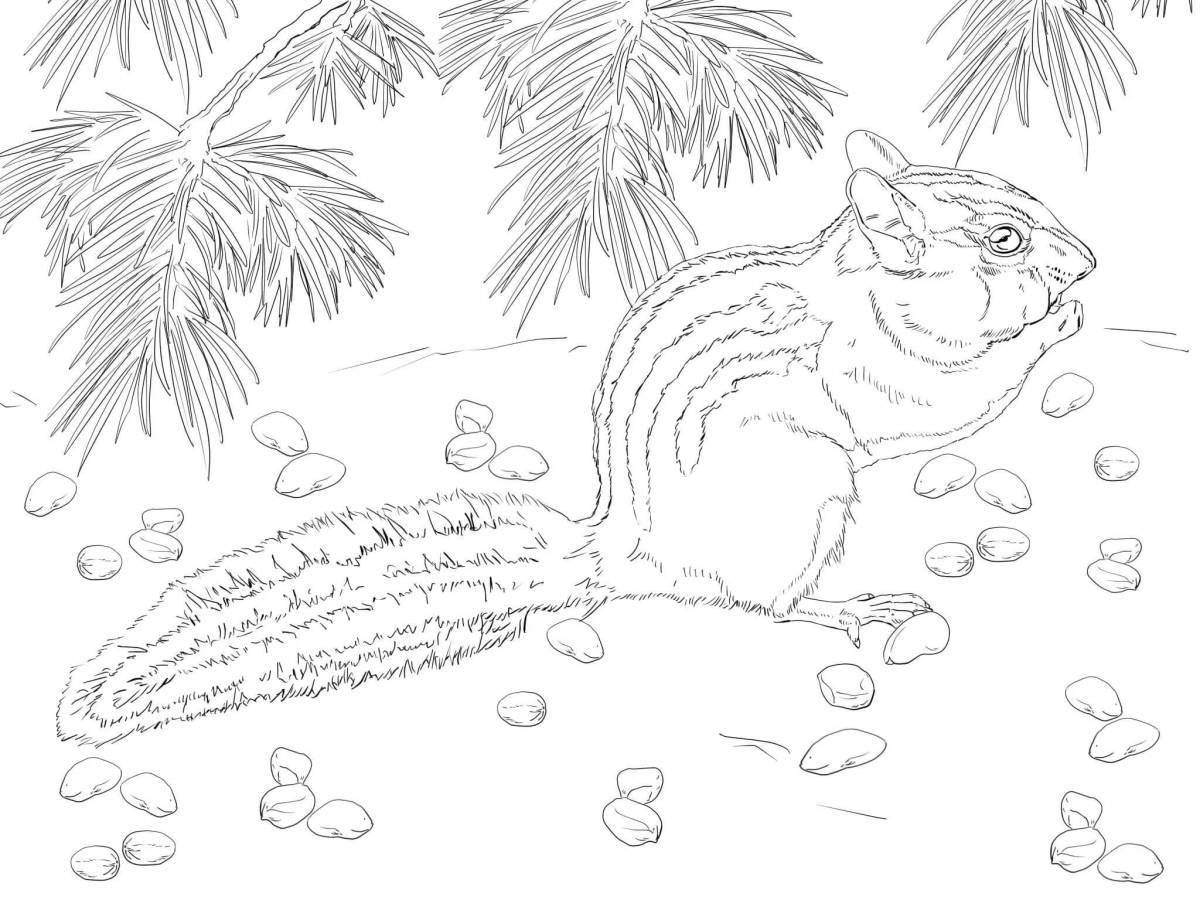 Раскраска Очаровательная раскраска бурундук для детей