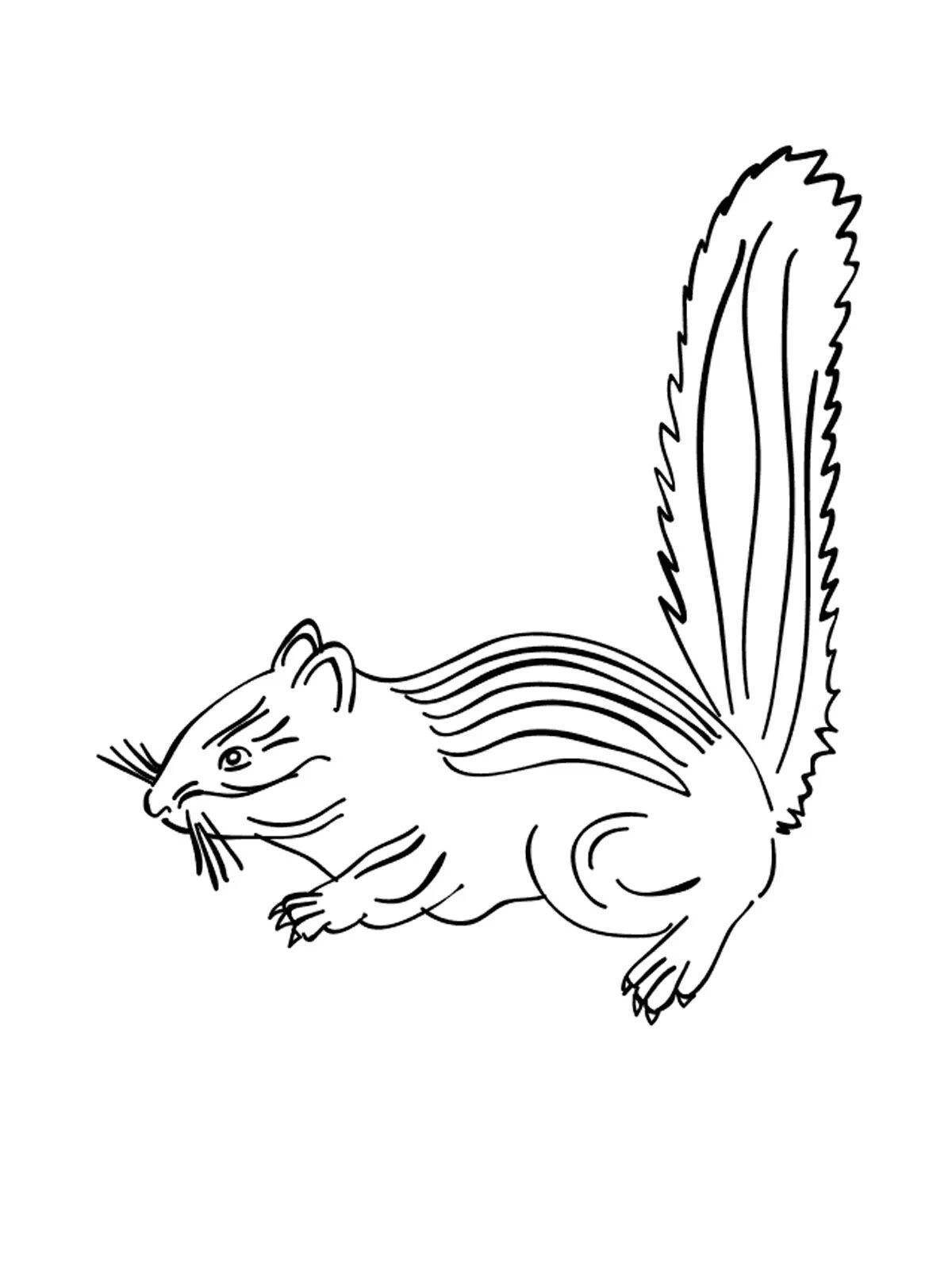 Cheerful chipmunk coloring for kids